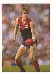 1990 Select AFL Stickers #155 Jim Stynes Front